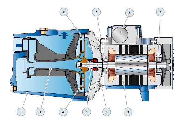 משאבת מים חיצונית יניקה עצמית Pedrollo JSW 15M תלת פאזית